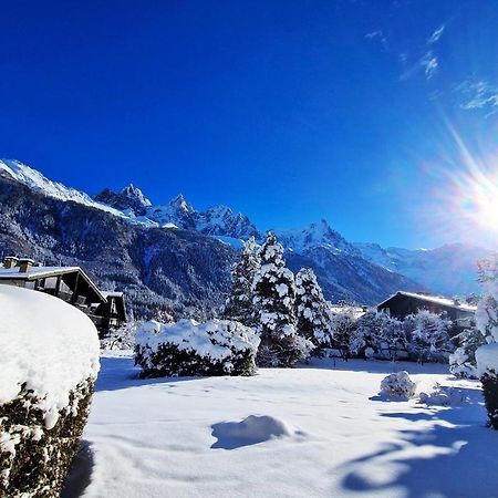 Chamonix Appartement Vue Mont Blanc Avec Jardin Exterior foto