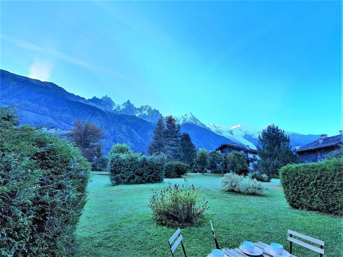 Chamonix Appartement Vue Mont Blanc Avec Jardin Exterior foto