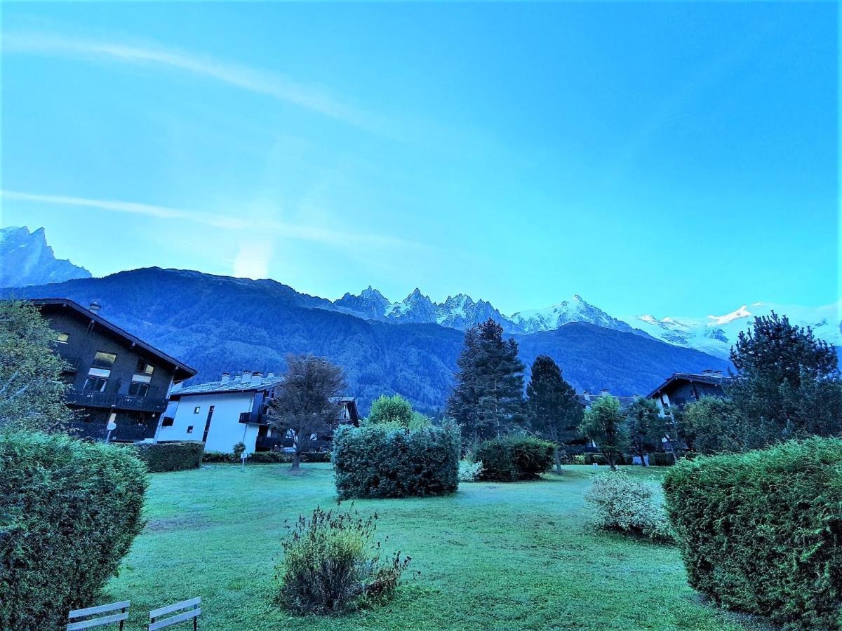 Chamonix Appartement Vue Mont Blanc Avec Jardin Exterior foto